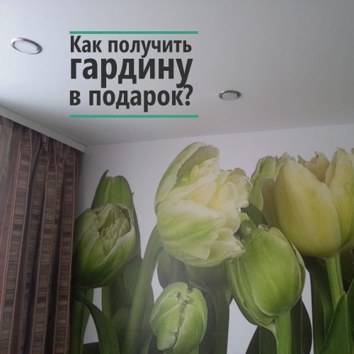 Как получить гардину бесплатно?